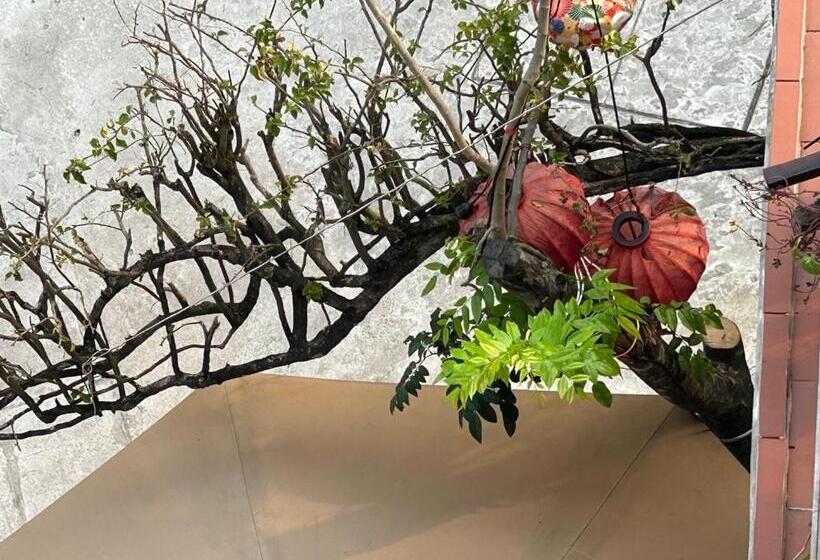 اتاق سوپریور, Vang Anh Homestay Hoi An