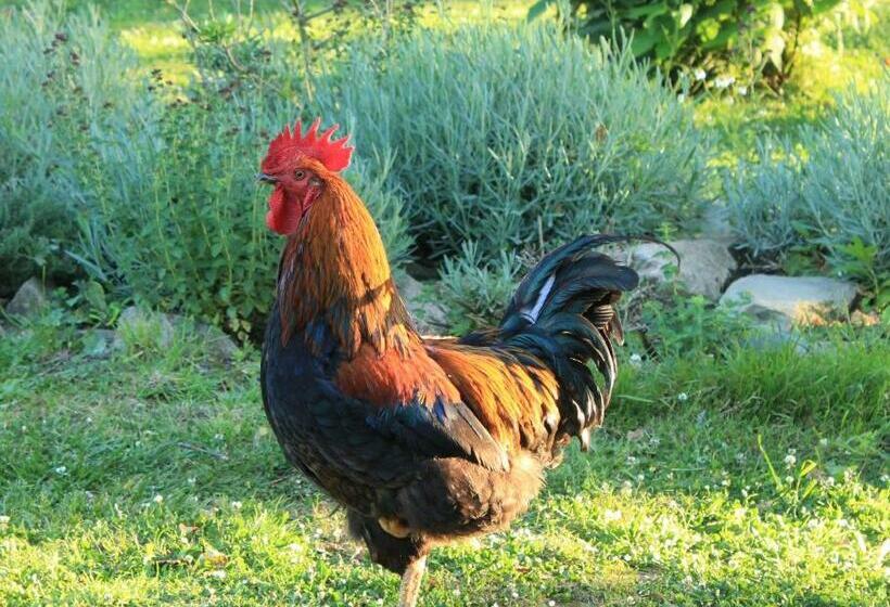 ガーデンビュースイート, Bretagne Chambre D Hôtes Suite 53m2 Et Caravane Vintage Avec Cuisine Et Salle De Bains Privées Britt