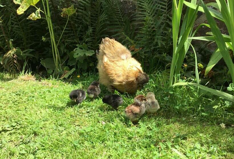 ガーデンビュースイート, Bretagne Chambre D Hôtes Suite 53m2 Et Caravane Vintage Avec Cuisine Et Salle De Bains Privées Britt