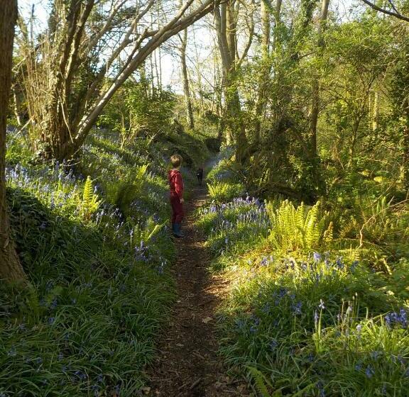 ガーデンビュースイート, Bretagne Chambre D Hôtes Suite 53m2 Et Caravane Vintage Avec Cuisine Et Salle De Bains Privées Britt