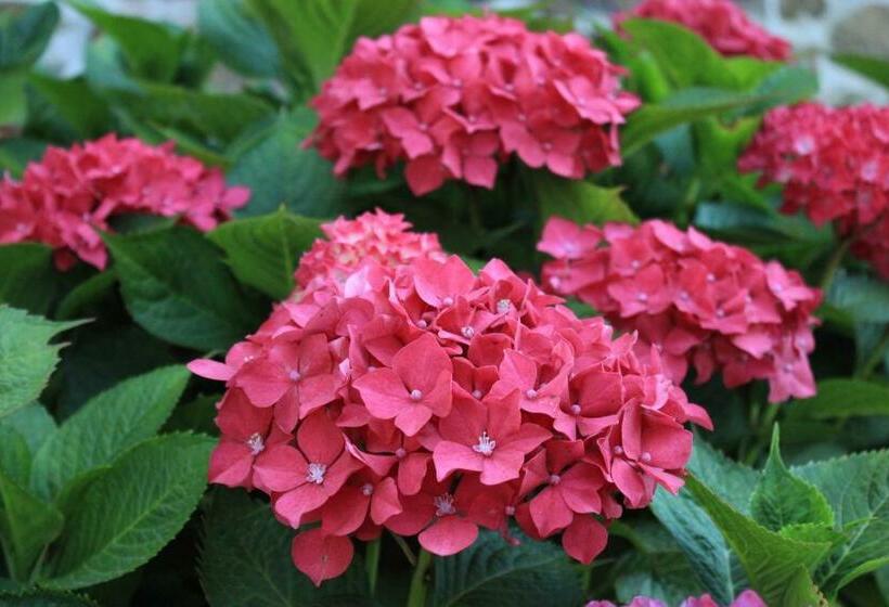 ガーデンビュースイート, Bretagne Chambre D Hôtes Suite 53m2 Et Caravane Vintage Avec Cuisine Et Salle De Bains Privées Britt