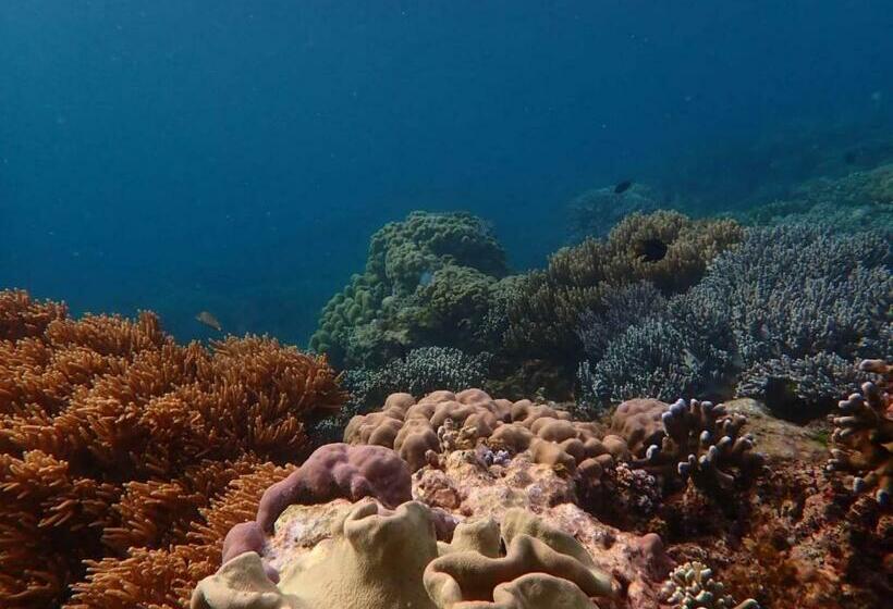 침실 3개 아파트, Ella S Beach House