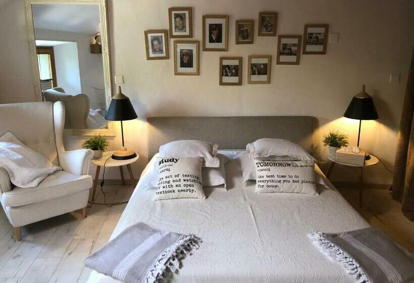 חדר סטנדרט נוף לגינה, Lamaisonrouge Chambre D Hôtes