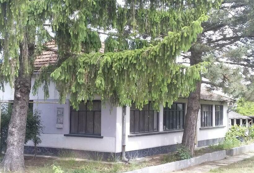 Номер Стандарт, B&b Puszta Eldorado