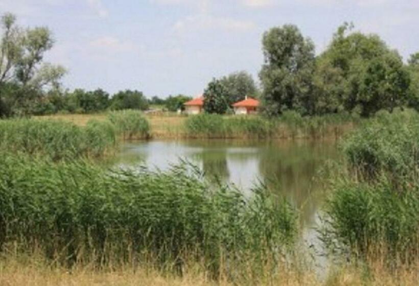 Номер Стандарт, B&b Puszta Eldorado