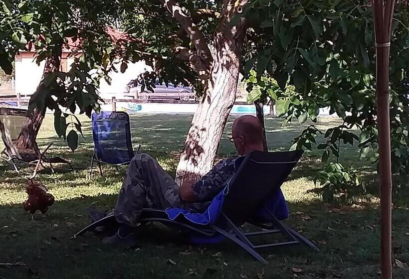 Номер Стандарт Индивидуальный, B&b Puszta Eldorado