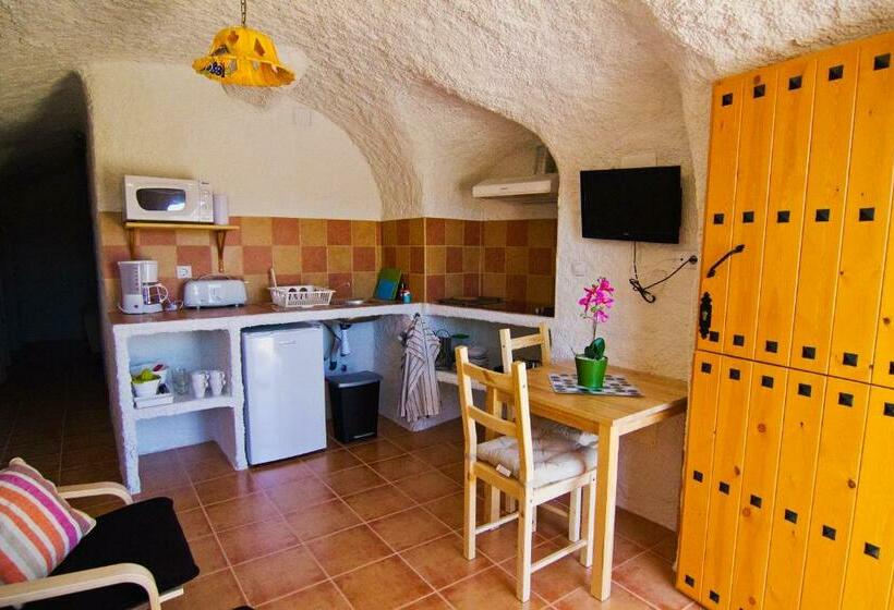 غرفة قياسية, Cueva Pura Vida