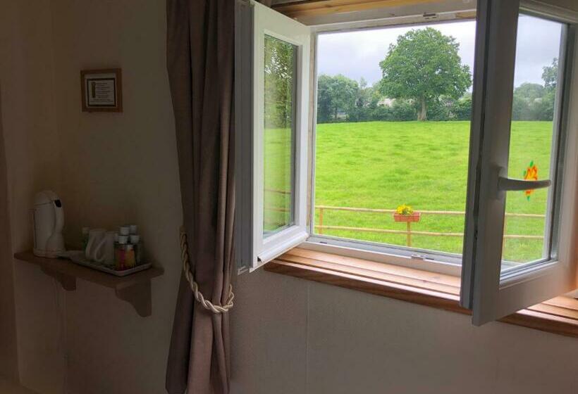 غرفة قياسية, Le Grand Camelia