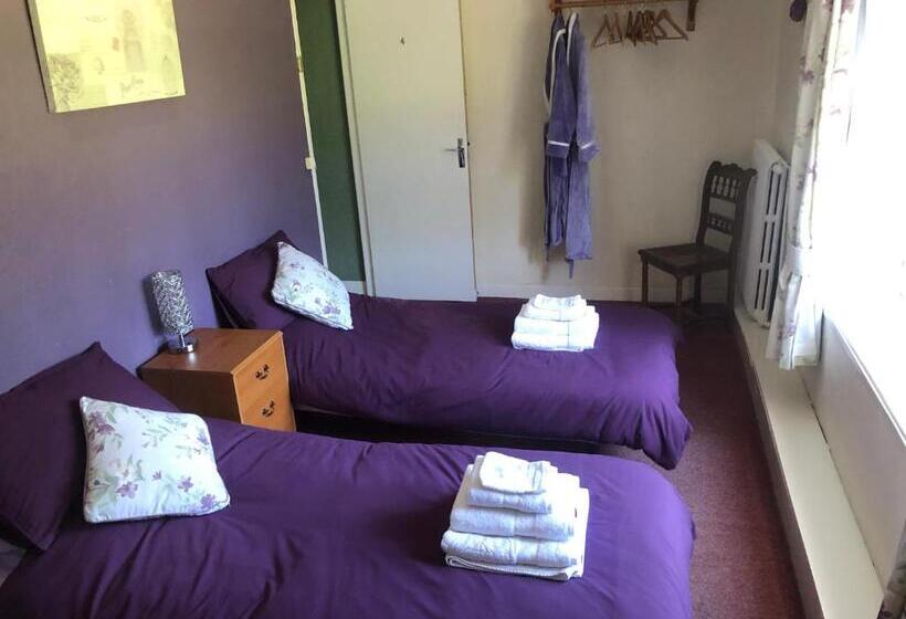 غرفة قياسية, Le Grand Camelia