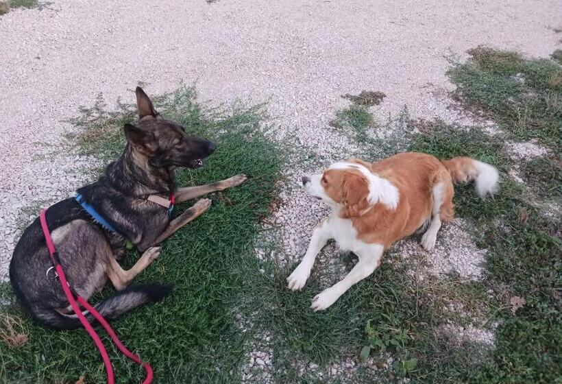 غرفة قياسية, B&b La Coccinella