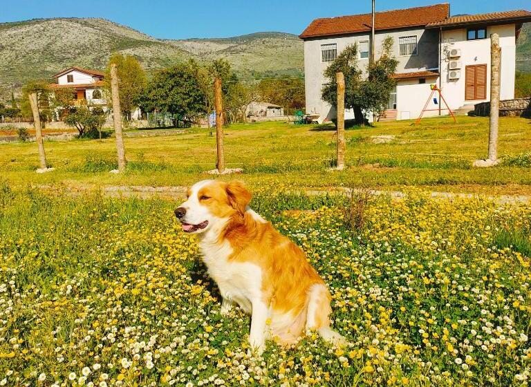 غرفة قياسية, B&b La Coccinella