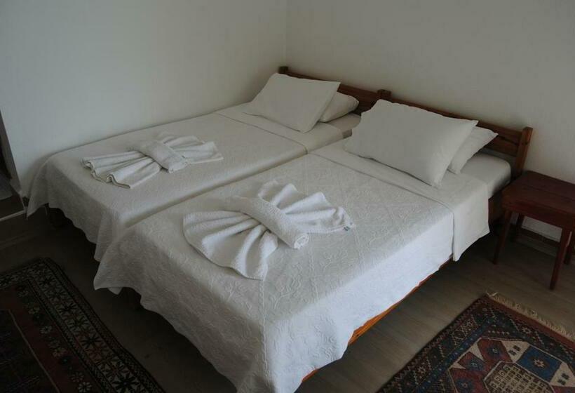 غرفة قياسية ثلاثية, Hisarlık