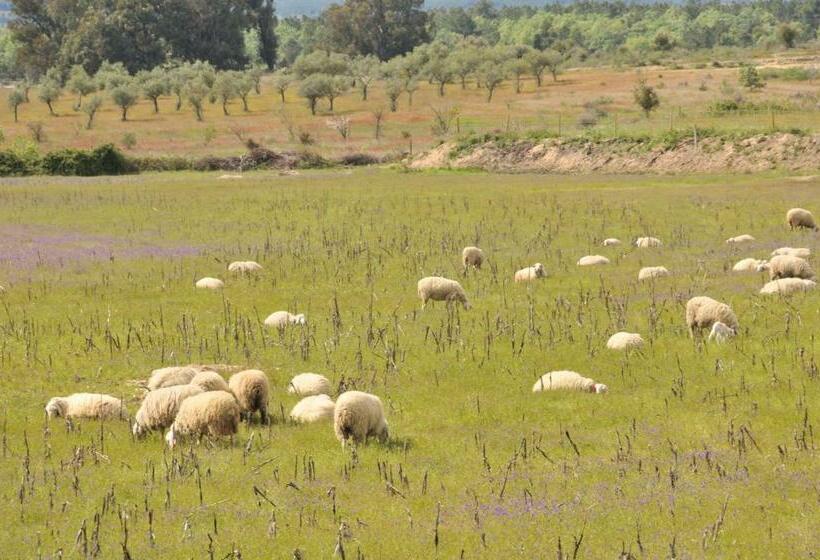 스탠다드 룸, Casa Da Lardosa