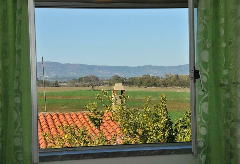 스탠다드 룸, Casa Da Lardosa