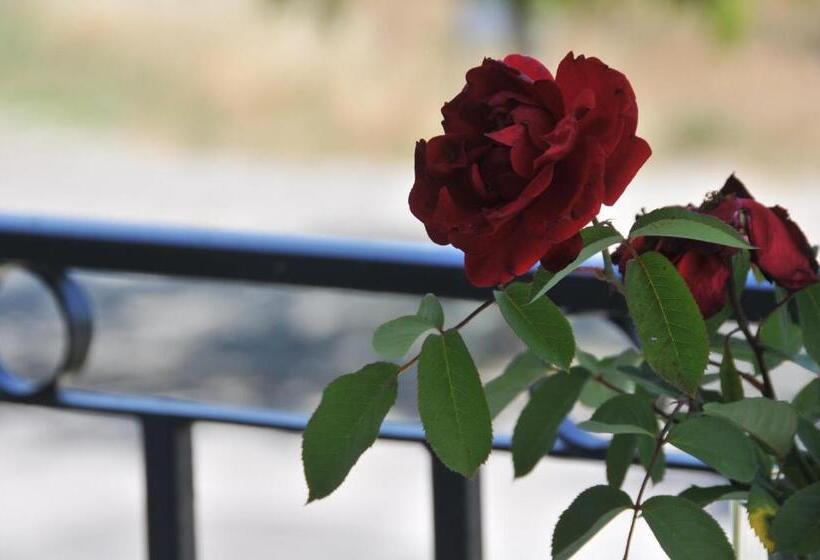 스탠다드 룸, Casa Da Lardosa