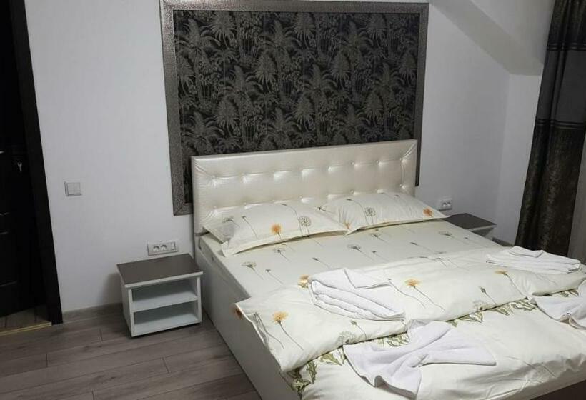 スタンダードルーム, Casa Sviniceană