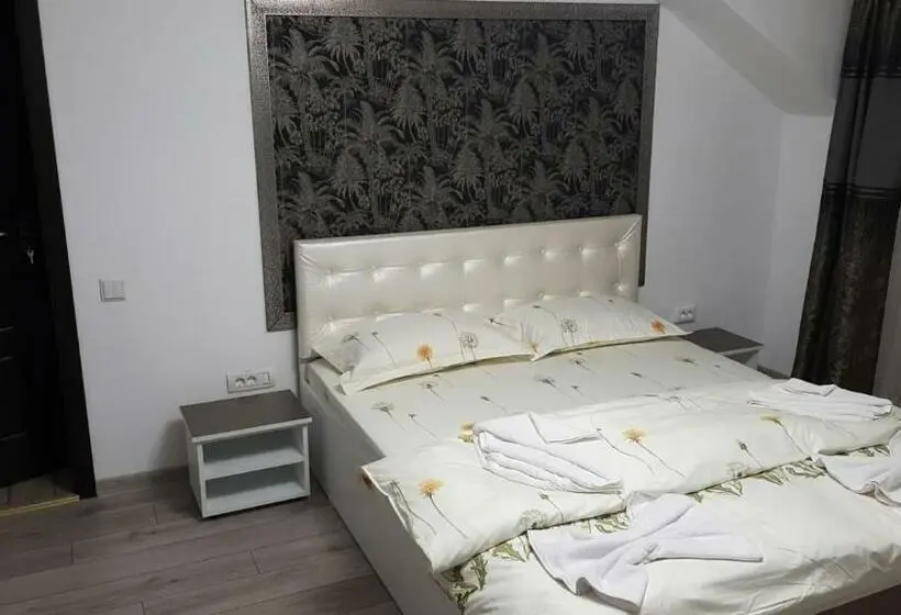 スタンダードルーム, Casa Sviniceană