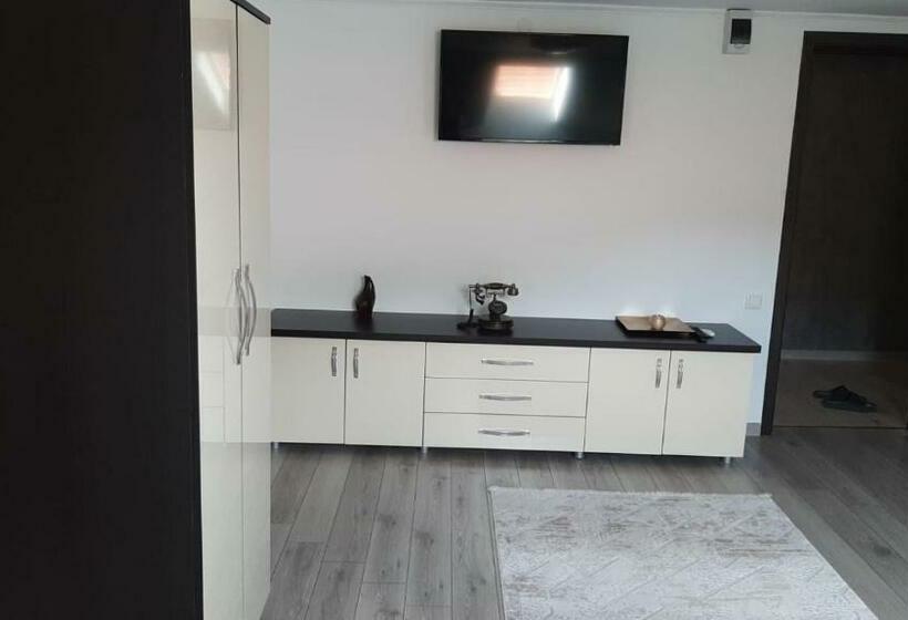 ファミリールーム, Casa Sviniceană