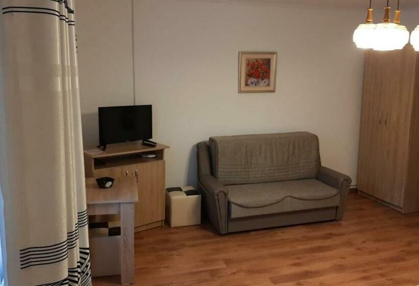 ファミリールーム, Casa Sviniceană