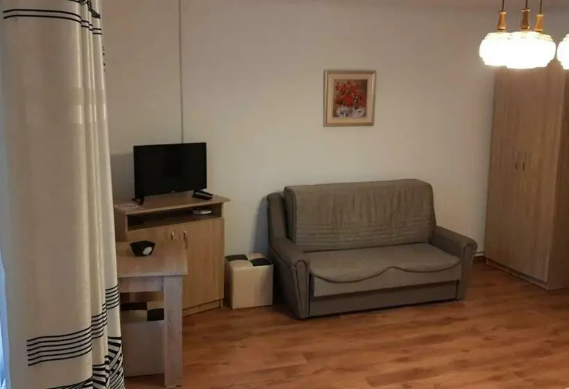 ファミリールーム, Casa Sviniceană