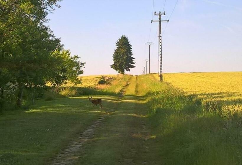 Номер Стандарт Вид на Сад, Gîte Du Clos Sébastien