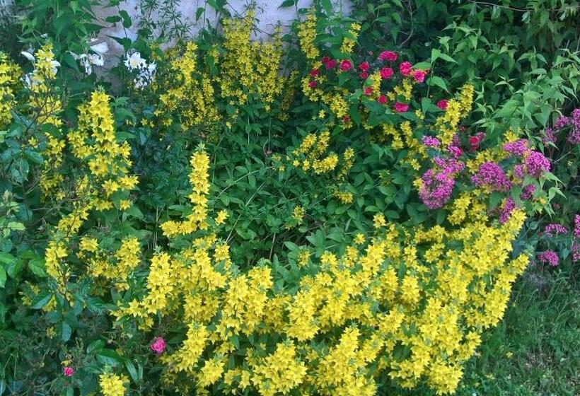 Номер Стандарт Вид на Сад, Gîte Du Clos Sébastien