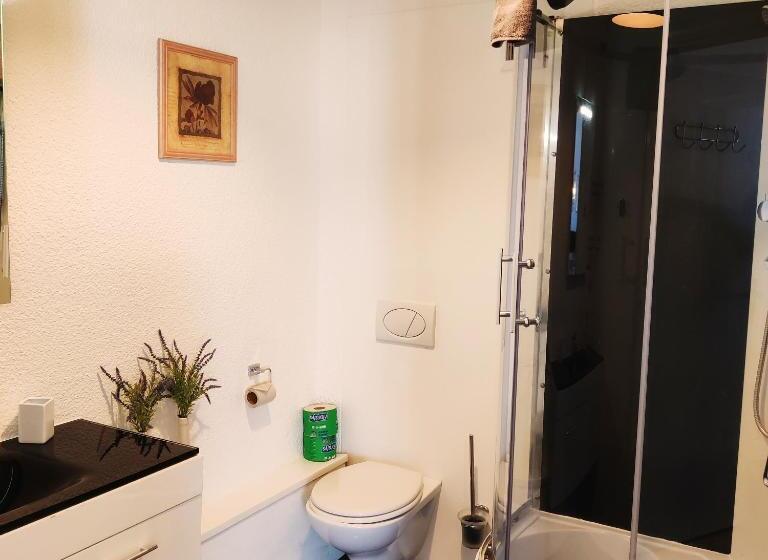 Апартаменты 1 Спальня Нижний Этаж, Penzion Stranny