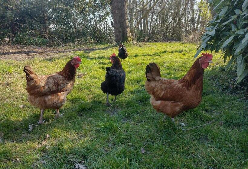 Standard Tent, Grytmanshoeve, Vakantiehuis Met Glamping