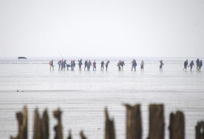 Standard Tent, Grytmanshoeve, Vakantiehuis Met Glamping