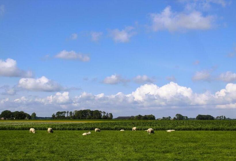 Standard Tent, Grytmanshoeve, Vakantiehuis Met Glamping