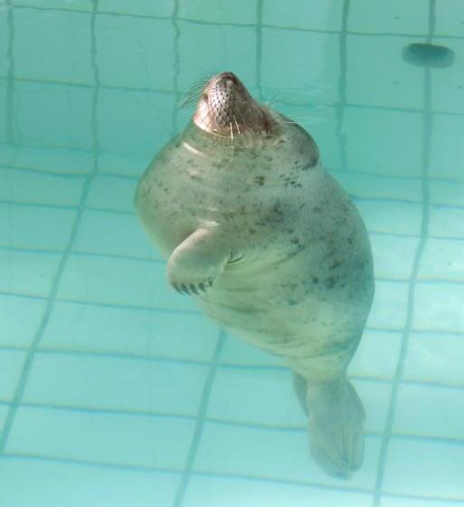 Дом 1 Спальня, Grytmanshoeve, Vakantiehuis Met Glamping