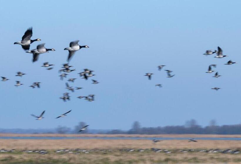 Дом 1 Спальня, Grytmanshoeve, Vakantiehuis Met Glamping
