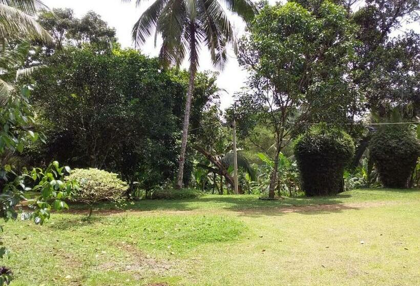 패밀리 방갈로, Midland Hotel Rooms Kanampella