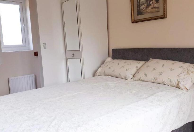 اتاق استاندارد, Orlando S