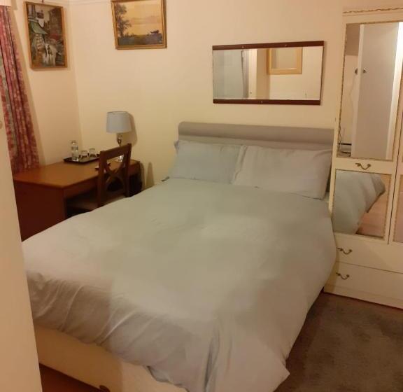 اتاق اکونومی, Orlando S