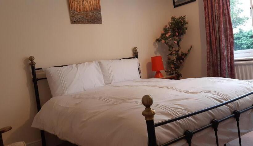 اتاق اکونومی, Orlando S