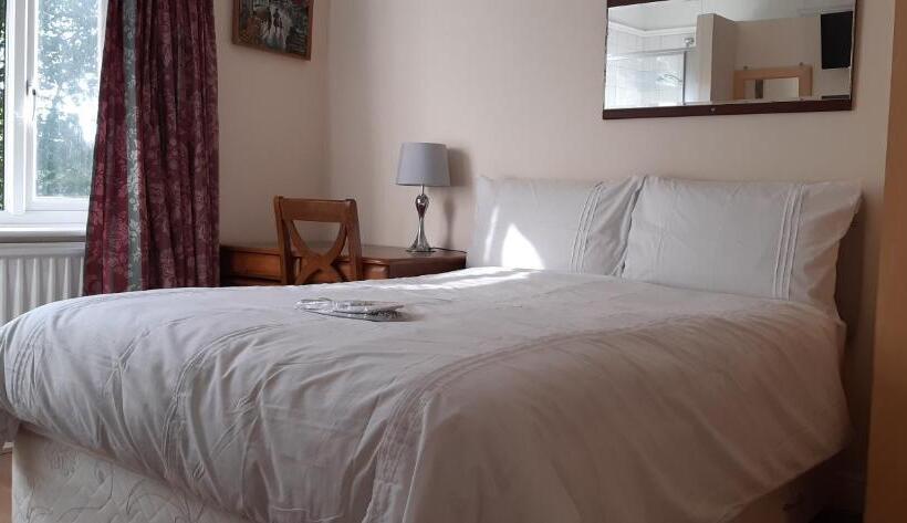 اتاق اکونومی, Orlando S