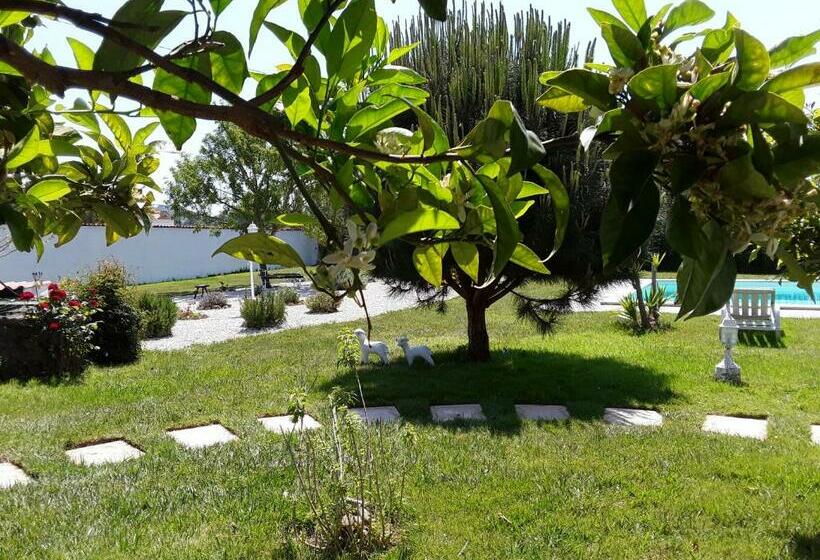 غرفة قياسية مطلّة علي حمام السباحة, Quinta Camargue