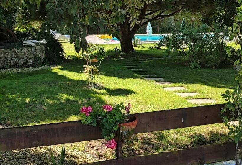 Номер Стандарт Вид на Бассейн, Quinta Camargue