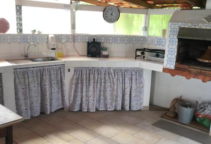 Номер Стандарт Вид на Бассейн, Quinta Camargue