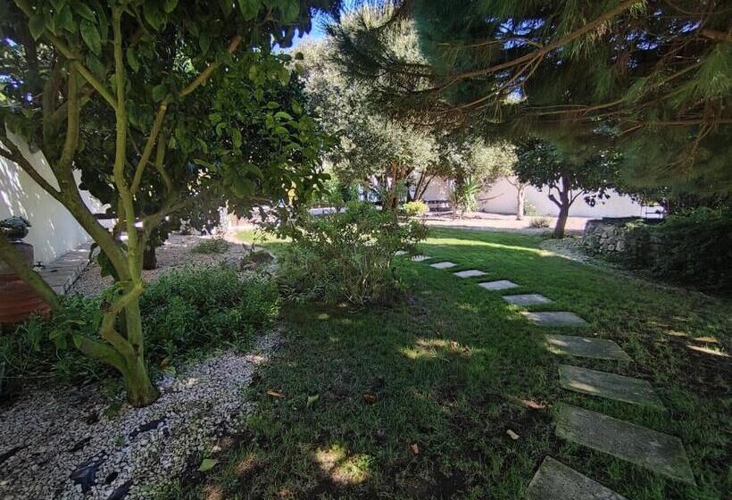 غرفة سوبيريور مطلة على حمام السباحة, Quinta Camargue