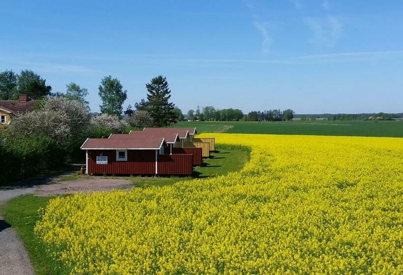 1间卧室的房子, Mellomgården