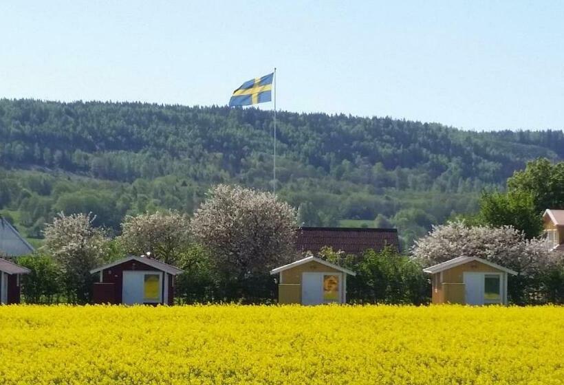 1间卧室的房子, Mellomgården