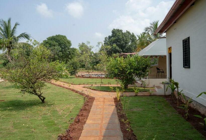 חדר סטנדרט עם מרפסת, Roy S Nature Nest   Farm Stay Near Malshej Ghats
