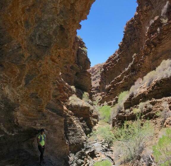 בית, חדר שינה 1, Tierkloof Mountain Cottages