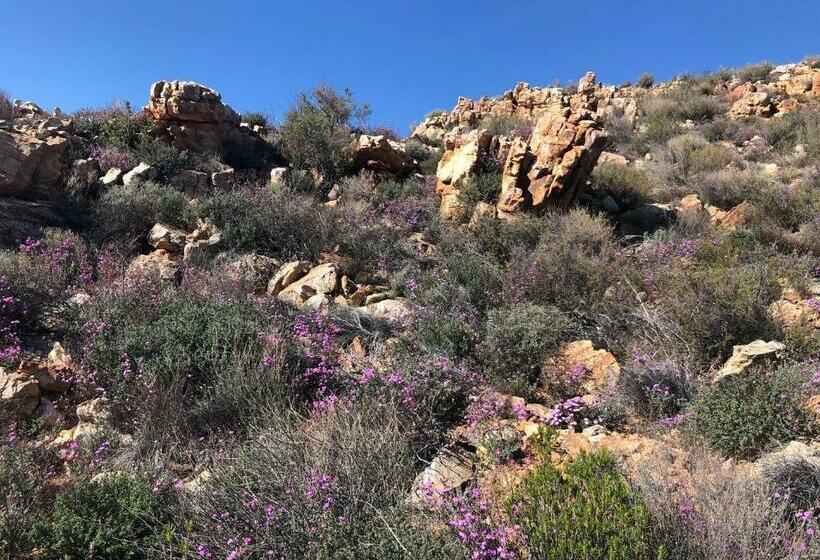 Дом 1 Спальня, Tierkloof Mountain Cottages