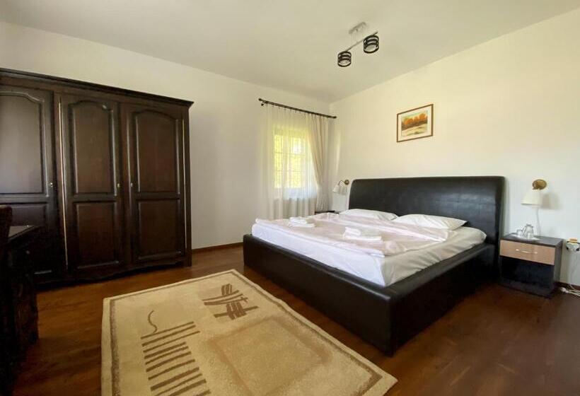 Апартаменты 1 Спальня, Casa Strabunicului