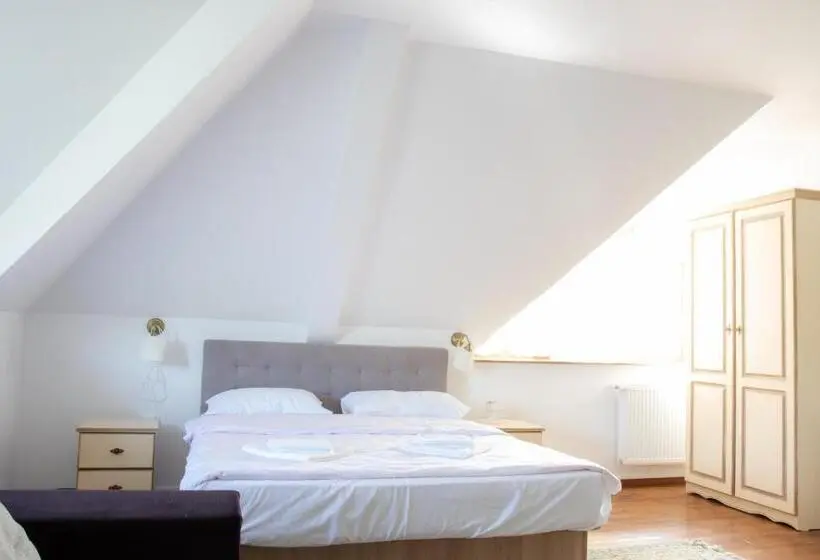 １ベッドルームのスーペリアアパートメント, Casa Strabunicului