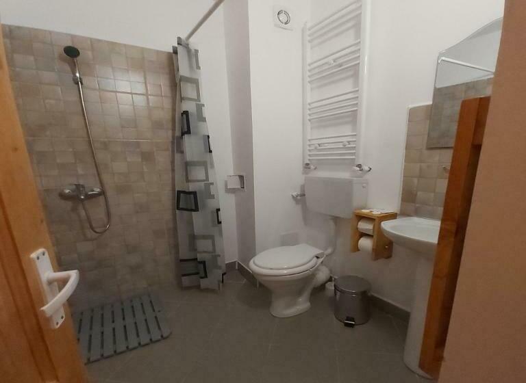 غرفة قياسية سرير كينج, Conacul Sarbesc