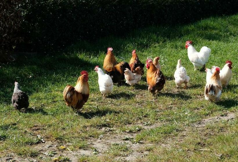 带共用浴室的标准房间, Rosario